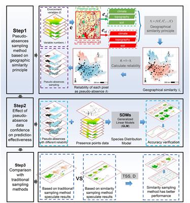 Determining representative pseudo-absences for invasive plant distribution modeling based on geographic similarity